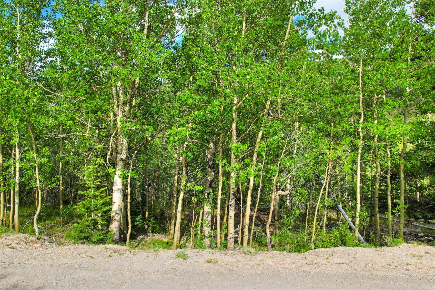 340 Mine Dump Road Alma, CO 80420 - Photo 3 of 13 Gallery Image 3