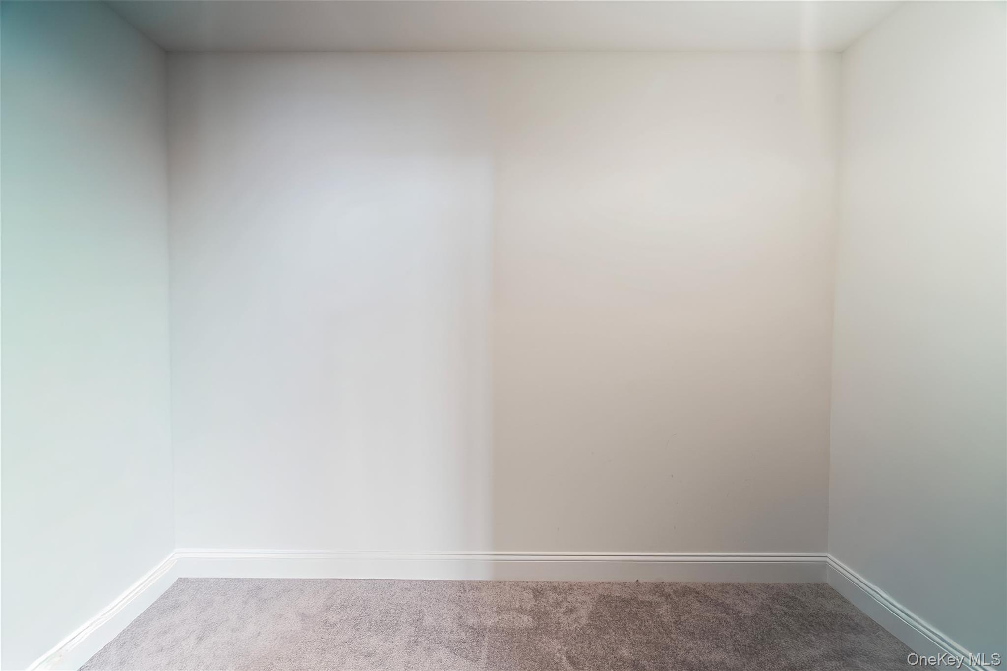 60 Parsnip Pond Road Lake Grove, NY 11755 - Photo 22 of 32 a view of small space