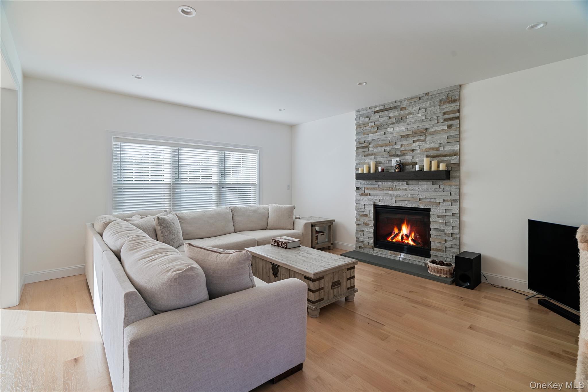 60 Parsnip Pond Road Lake Grove, NY 11755 - Photo 10 of 32 a living room with furniture and a fireplace