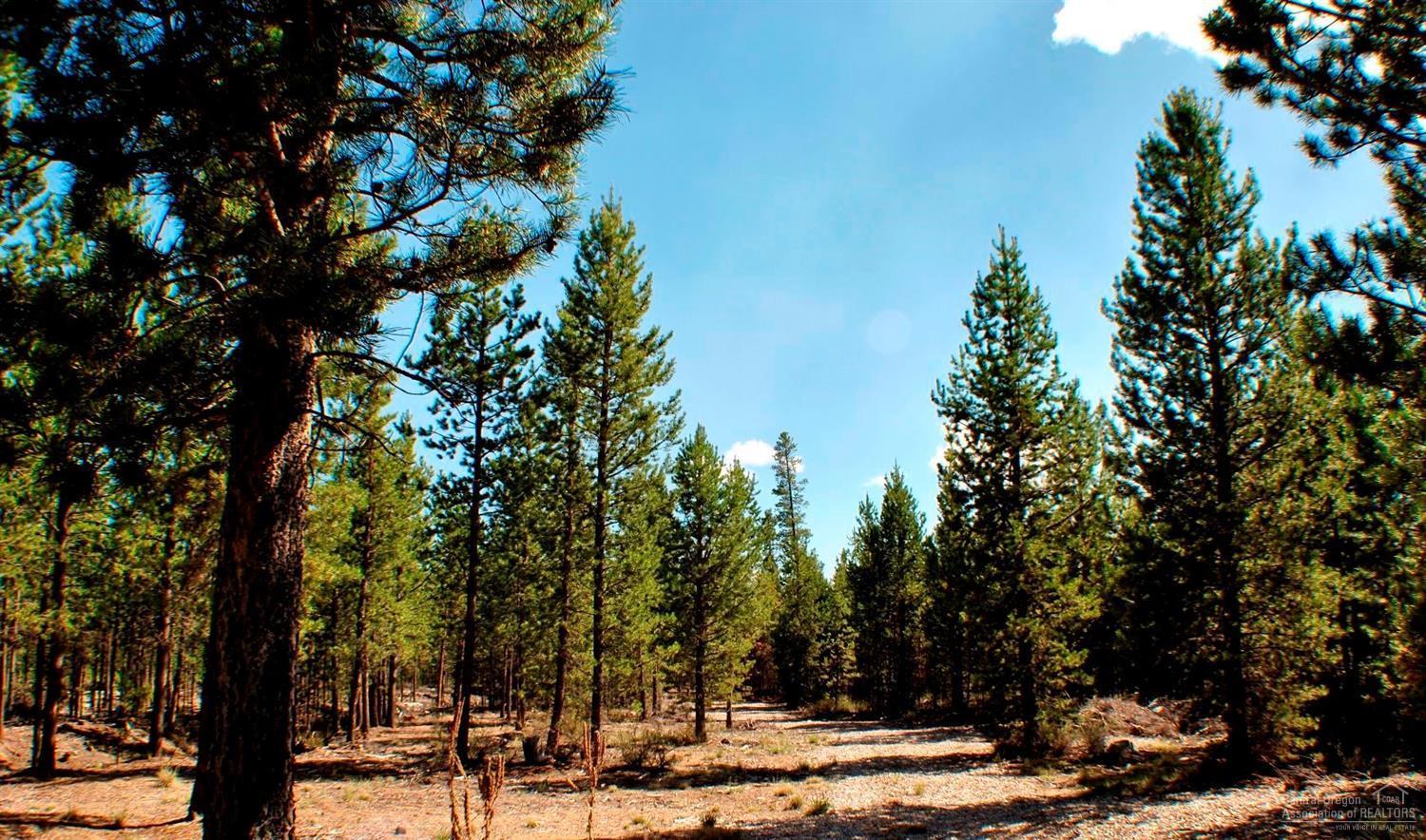 1004 Yoke Road La Pine, OR 97739 - Photo 11 of 23 Clearing downed trees provides firewood,