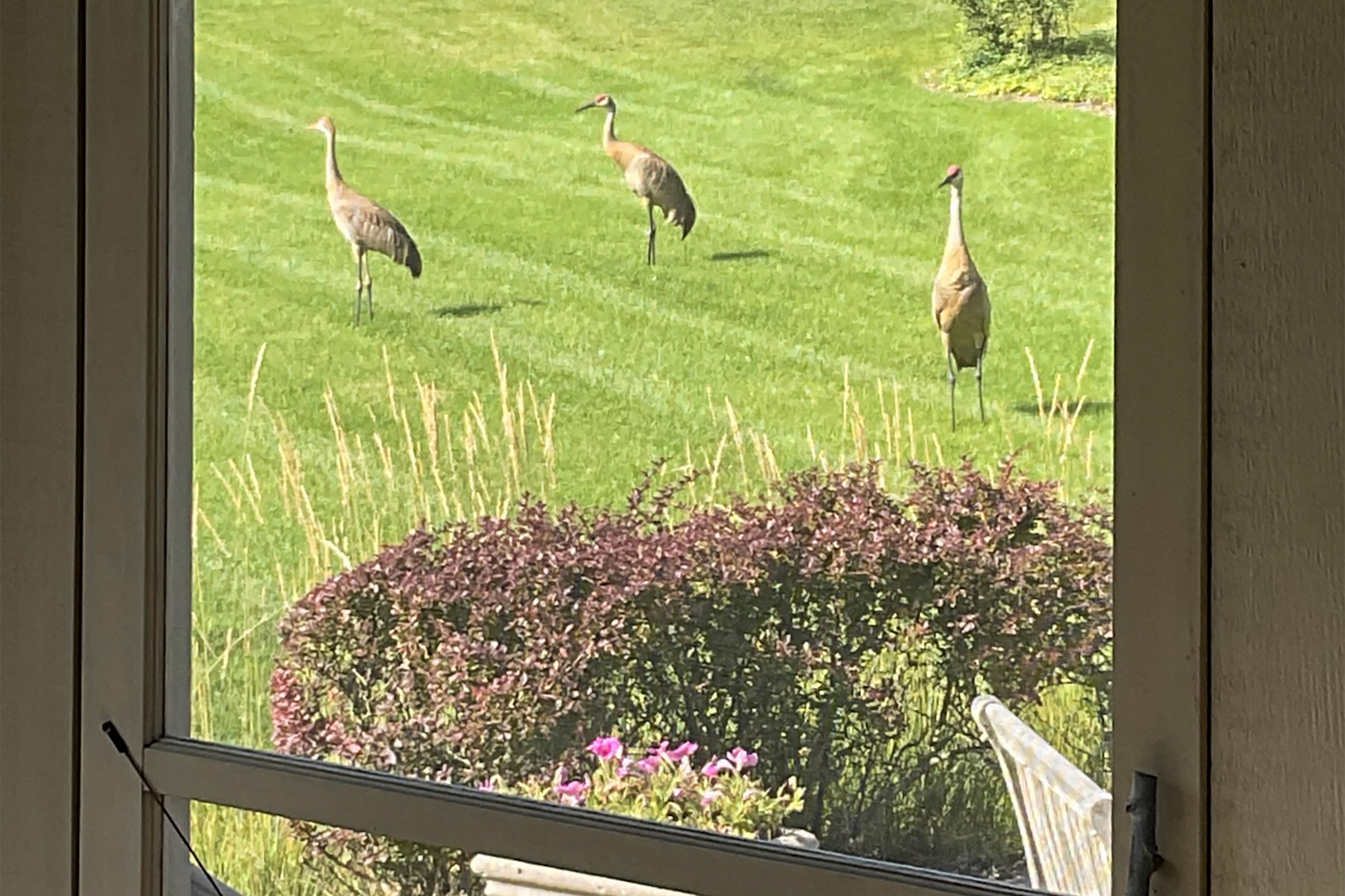 1030 Ridgeview Drive Inverness, IL 60010 - Photo 26 of 27