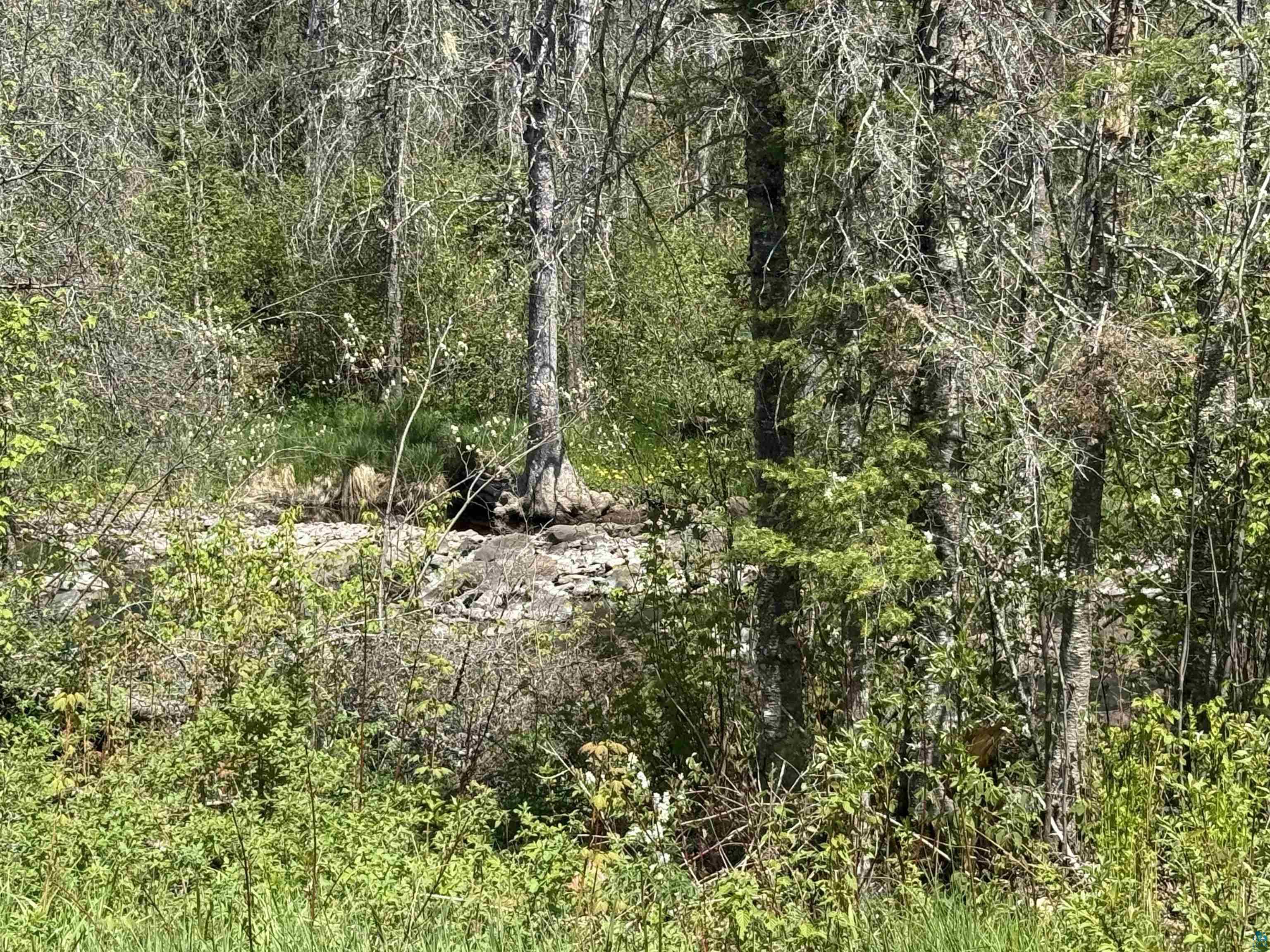 Tbd Crown Creek Road Finland, MN 55603 - Photo 2 of 14 Baptism River