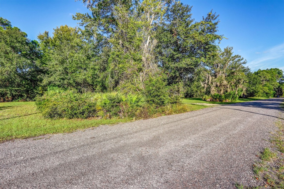 0 Yanie Road Yulee, FL 32097 - Photo 8 of 22 Gallery Image 8