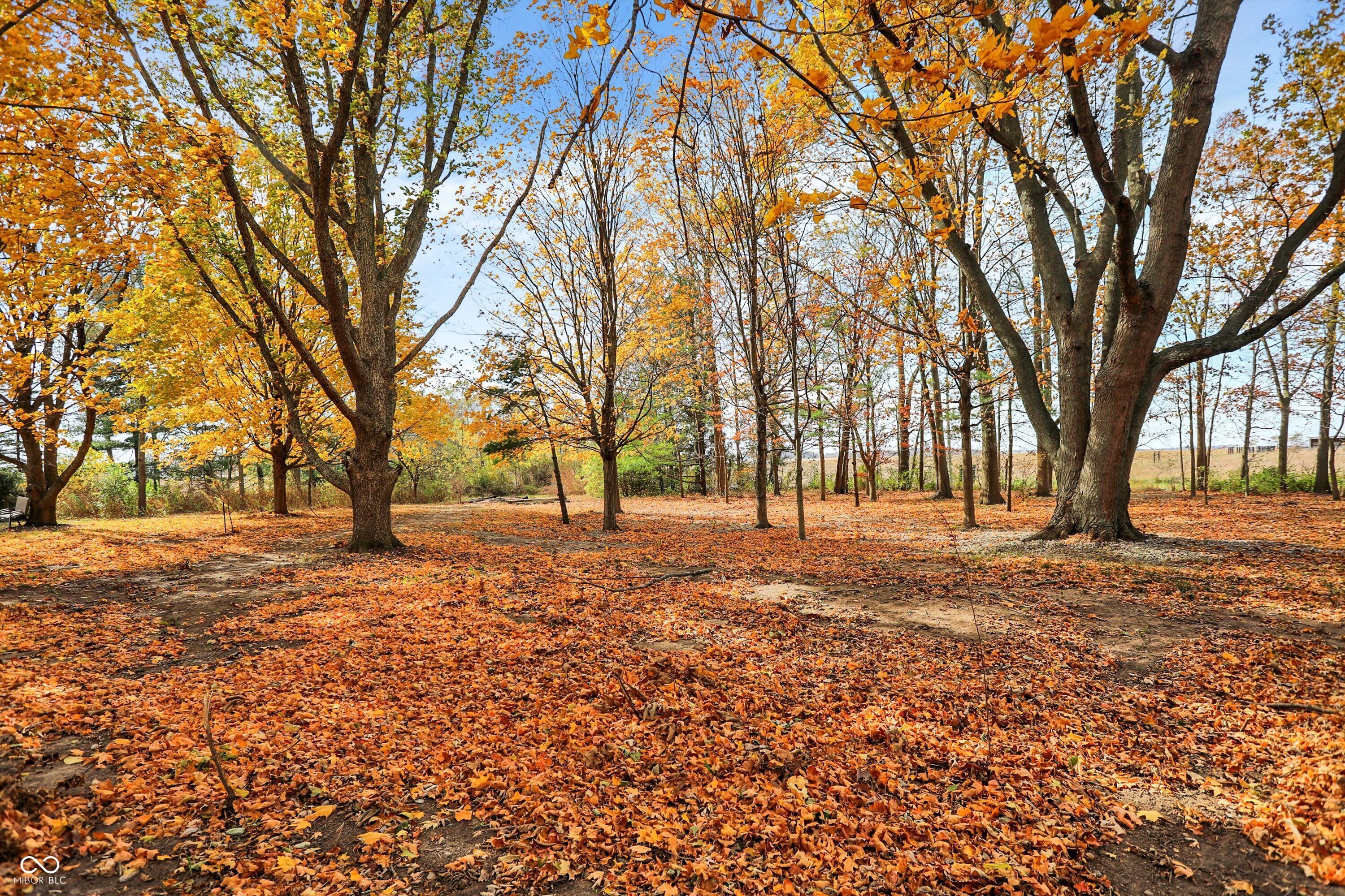 27015 West Ditch Road Sheridan, IN 46069 - Photo 57 of 69