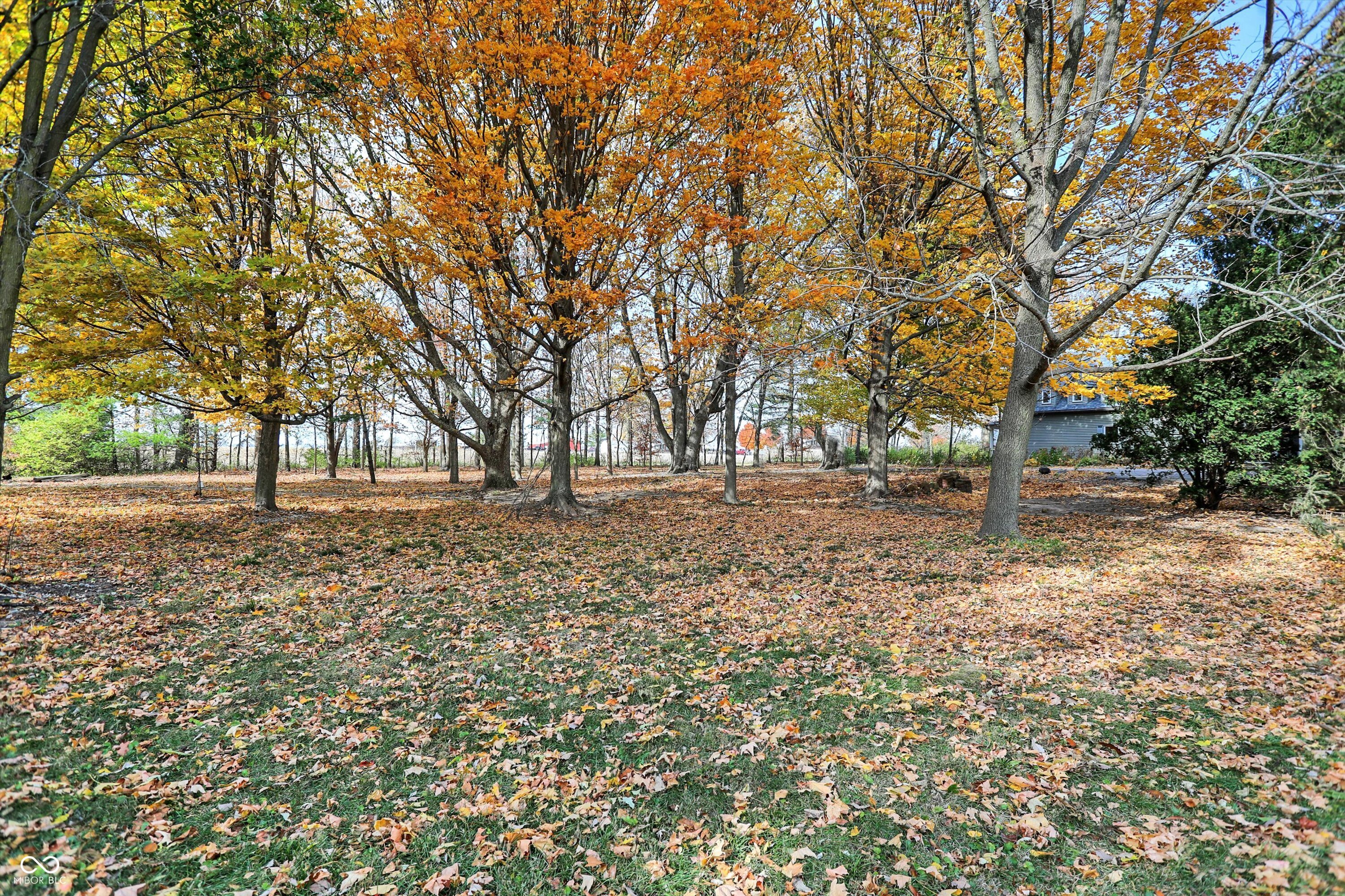 27015 West Ditch Road Sheridan, IN 46069 - Photo 59 of 69