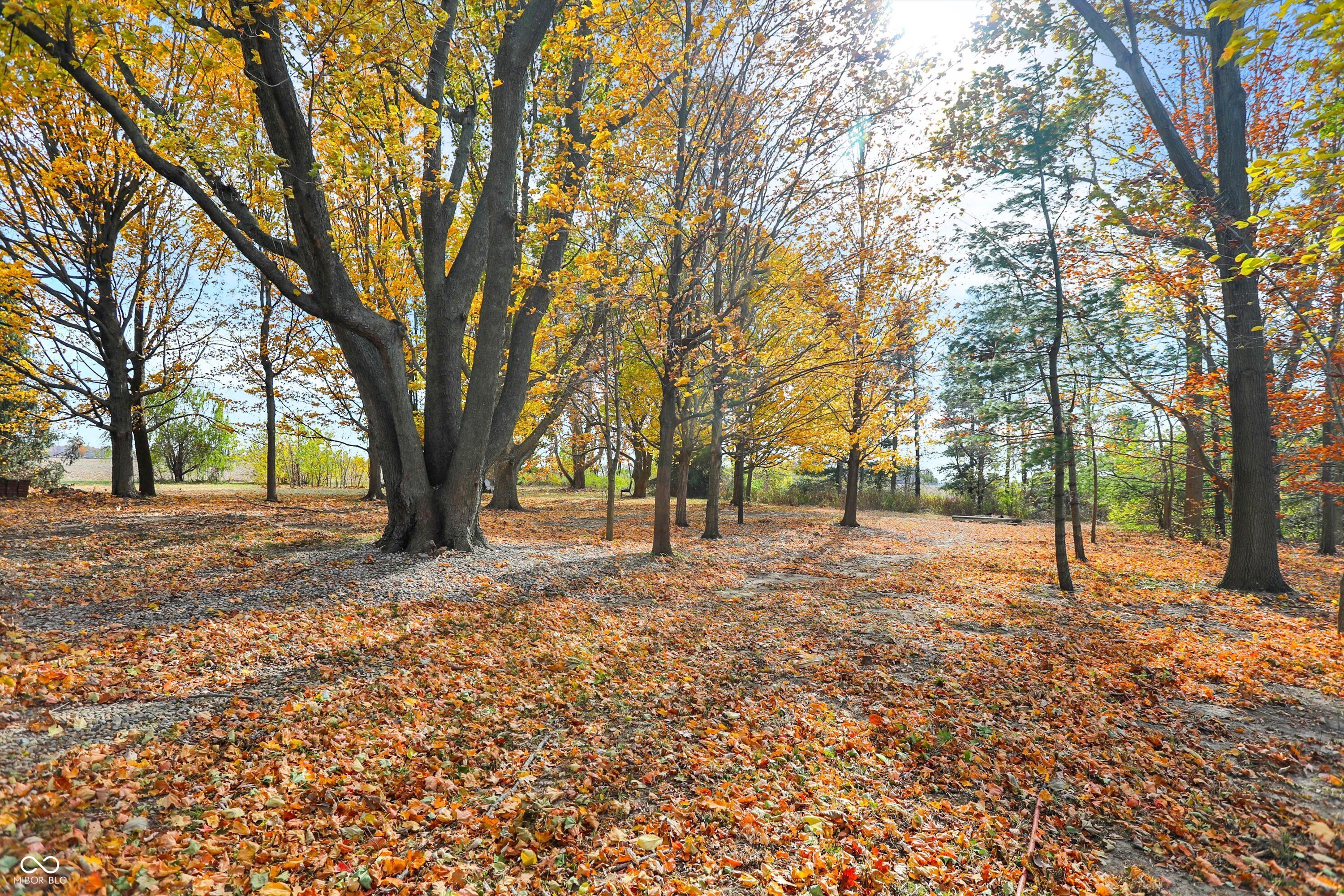 27015 West Ditch Road Sheridan, IN 46069 - Photo 60 of 69