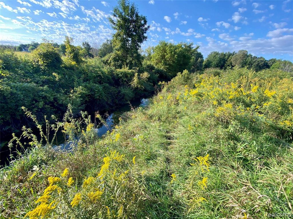 V/l North Nicholson Road Fowlerville, MI 48836 - Photo 13 of 14