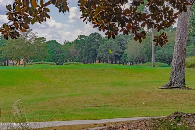 $695,000 | 311 Red Fox Run Drive, Wallace, NC 28466