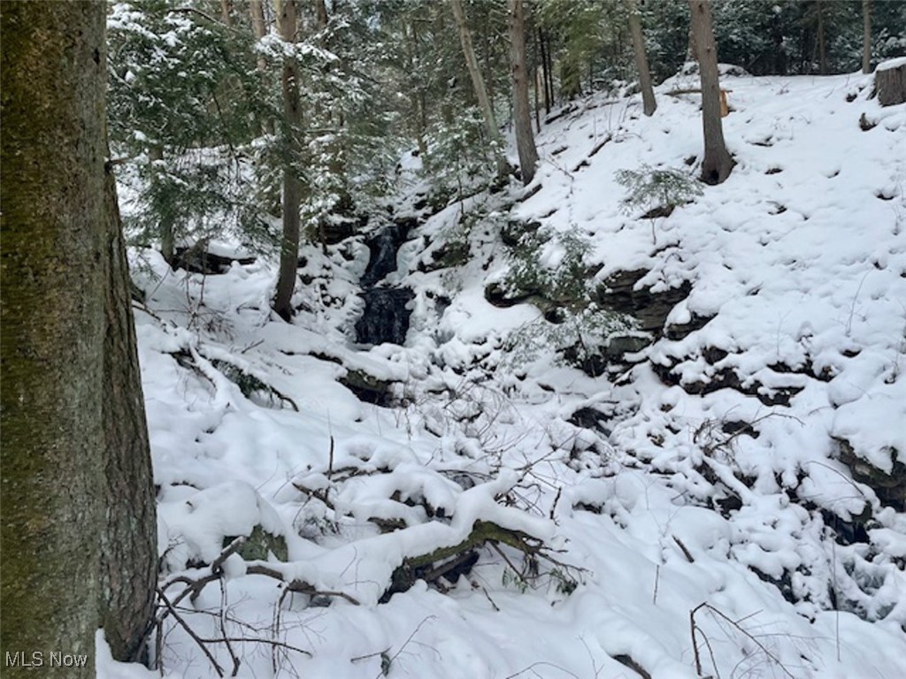 East Sandy Road Kennerdell, PA 16374 - Photo 5 of 15 View of snowy landscape