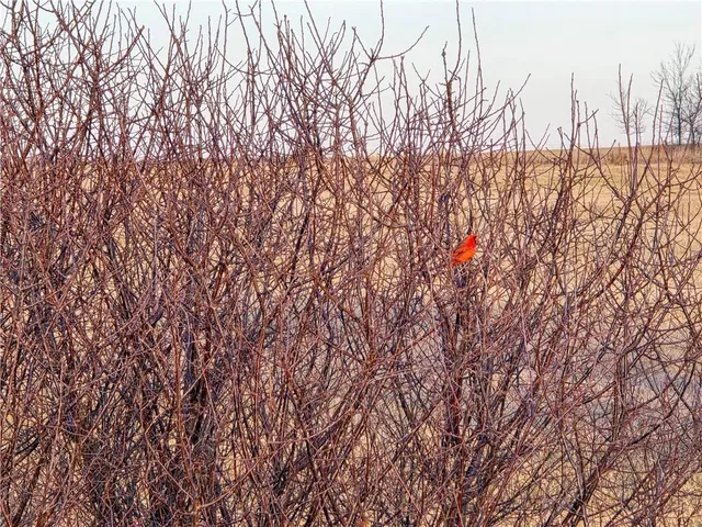 $316,575 | Skiddy Rd Junction, Junction City, KS 66441