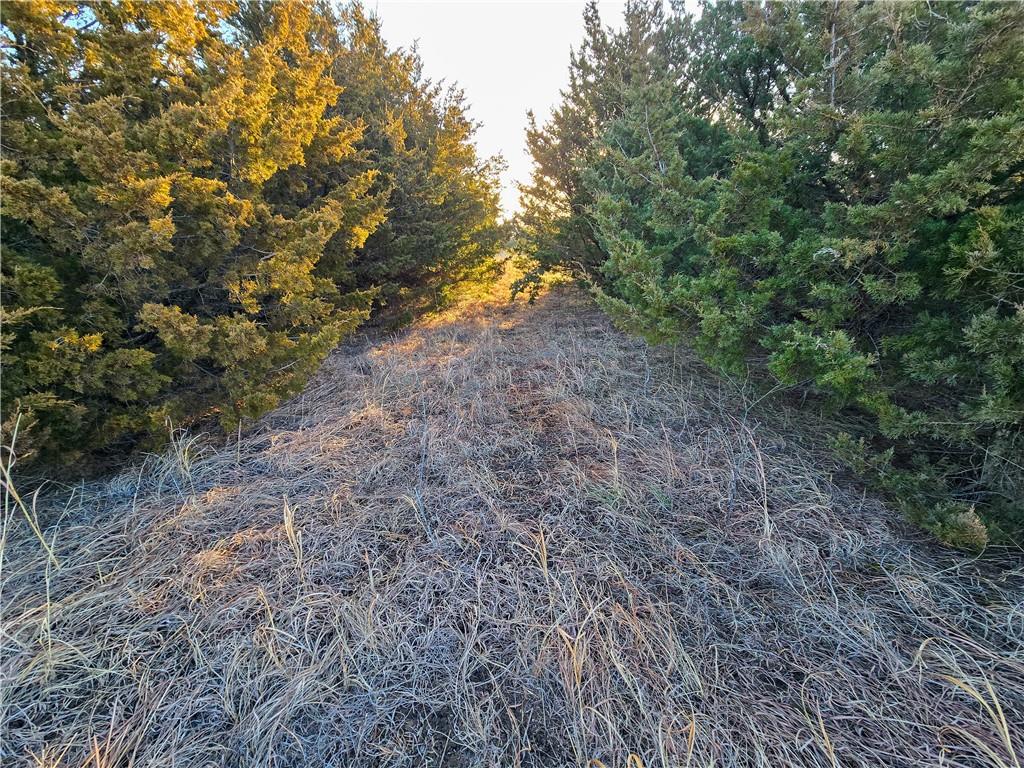 Skiddy Rd Junction Junction City, KS 66441 - Photo 28 of 45