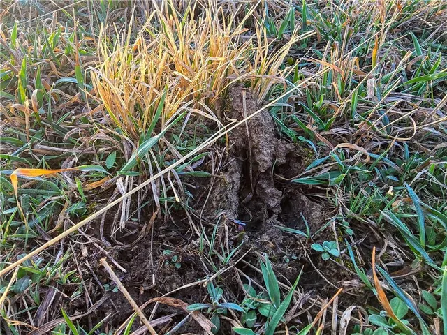 $316,575 | Skiddy Rd Junction, Junction City, KS 66441