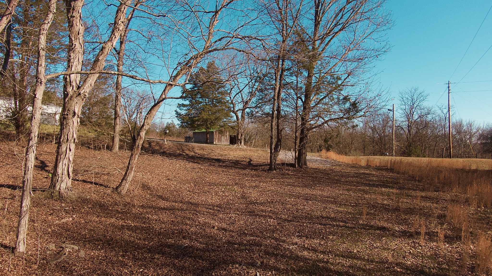 524 Chipman Road Bethpage, TN 37022 - Photo 11 of 19 Gallery Image 11