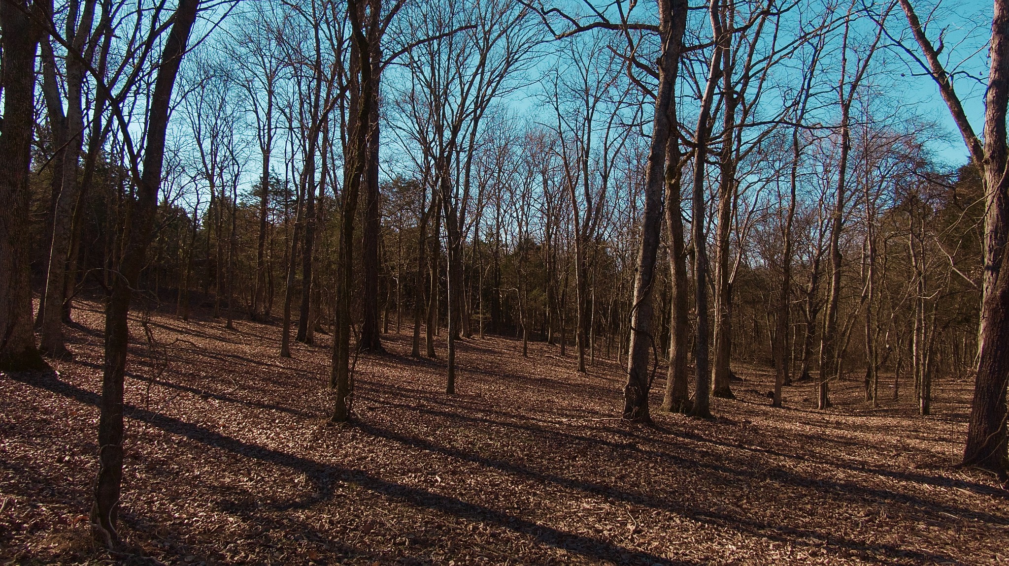 524 Chipman Road Bethpage, TN 37022 - Photo 12 of 19 Gallery Image 12