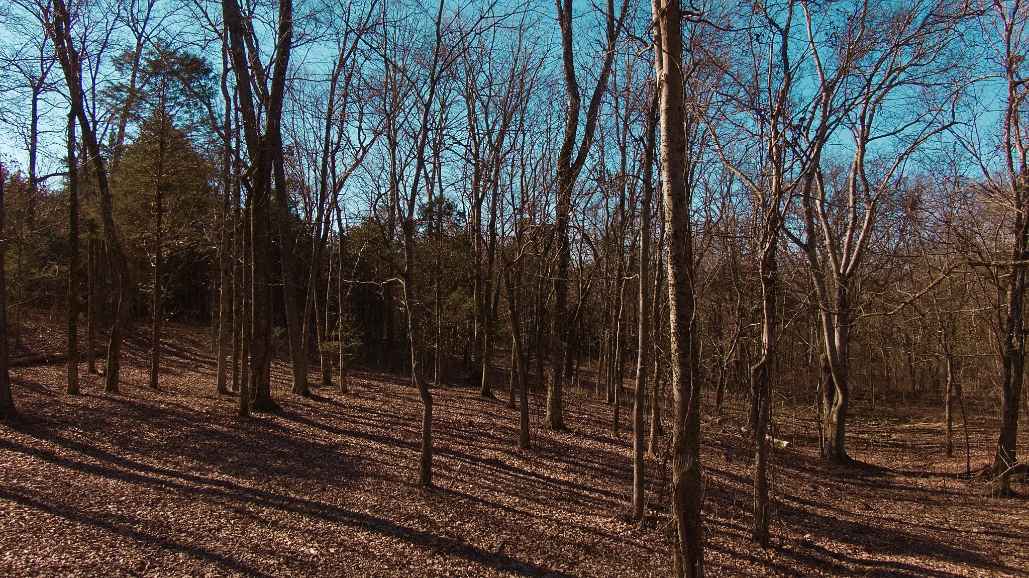 524 Chipman Road Bethpage, TN 37022 - Photo 13 of 19 Gallery Image 13