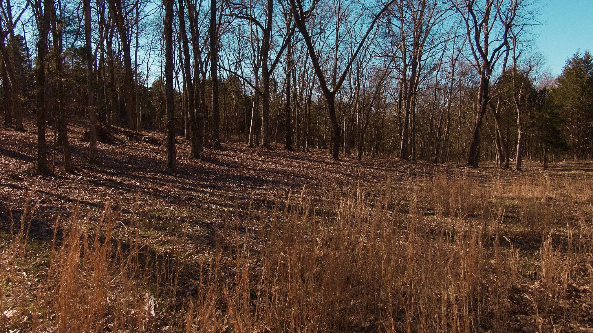 524 Chipman Road Bethpage, TN 37022 - Photo 7 of 19 Gallery Image 7