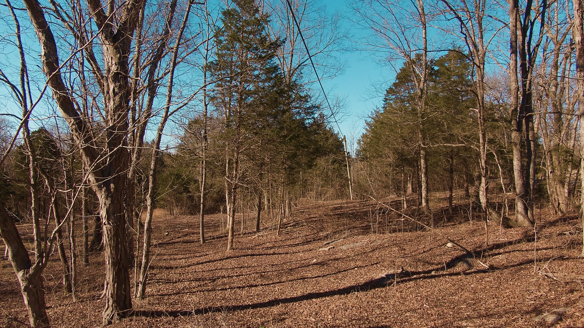 524 Chipman Road Bethpage, TN 37022 - Photo 8 of 19 Gallery Image 8