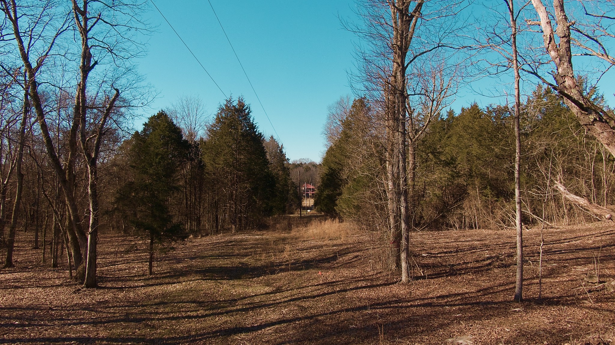 524 Chipman Road Bethpage, TN 37022 - Photo 10 of 19 Gallery Image 10
