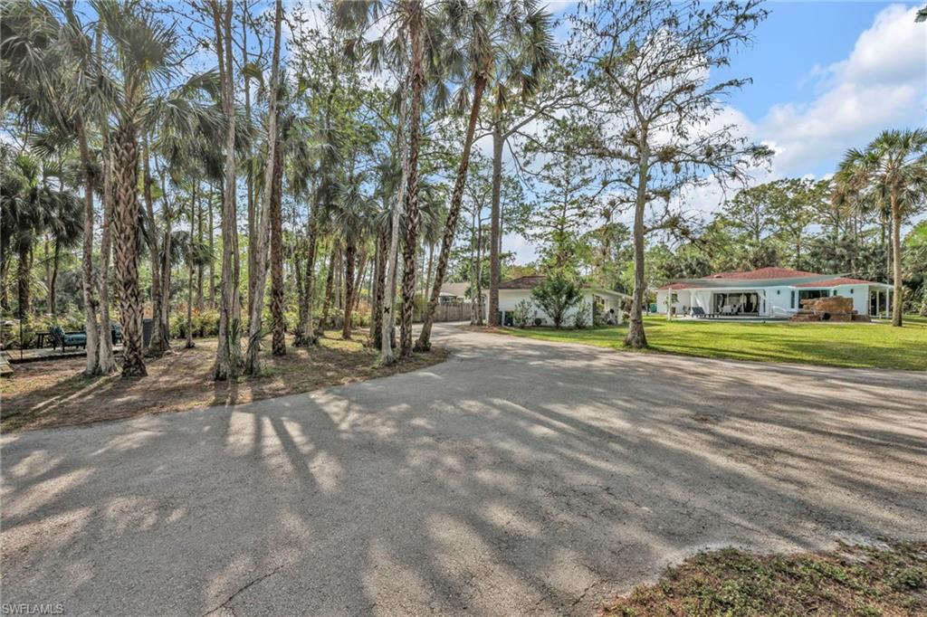 3231 13th Avenue Southwest Naples, FL 34117 - Photo 37 of 49 a view of road with large trees