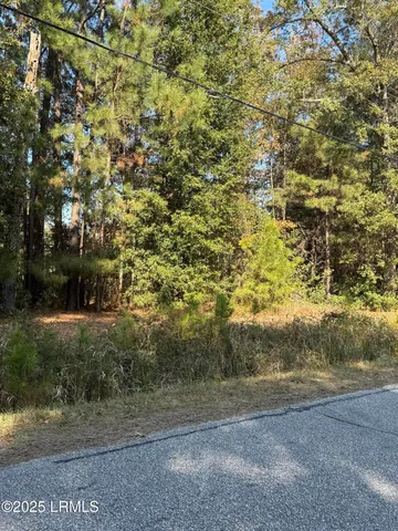 $55,000 | Tbd West Main Street, Ridgeland, SC 29936