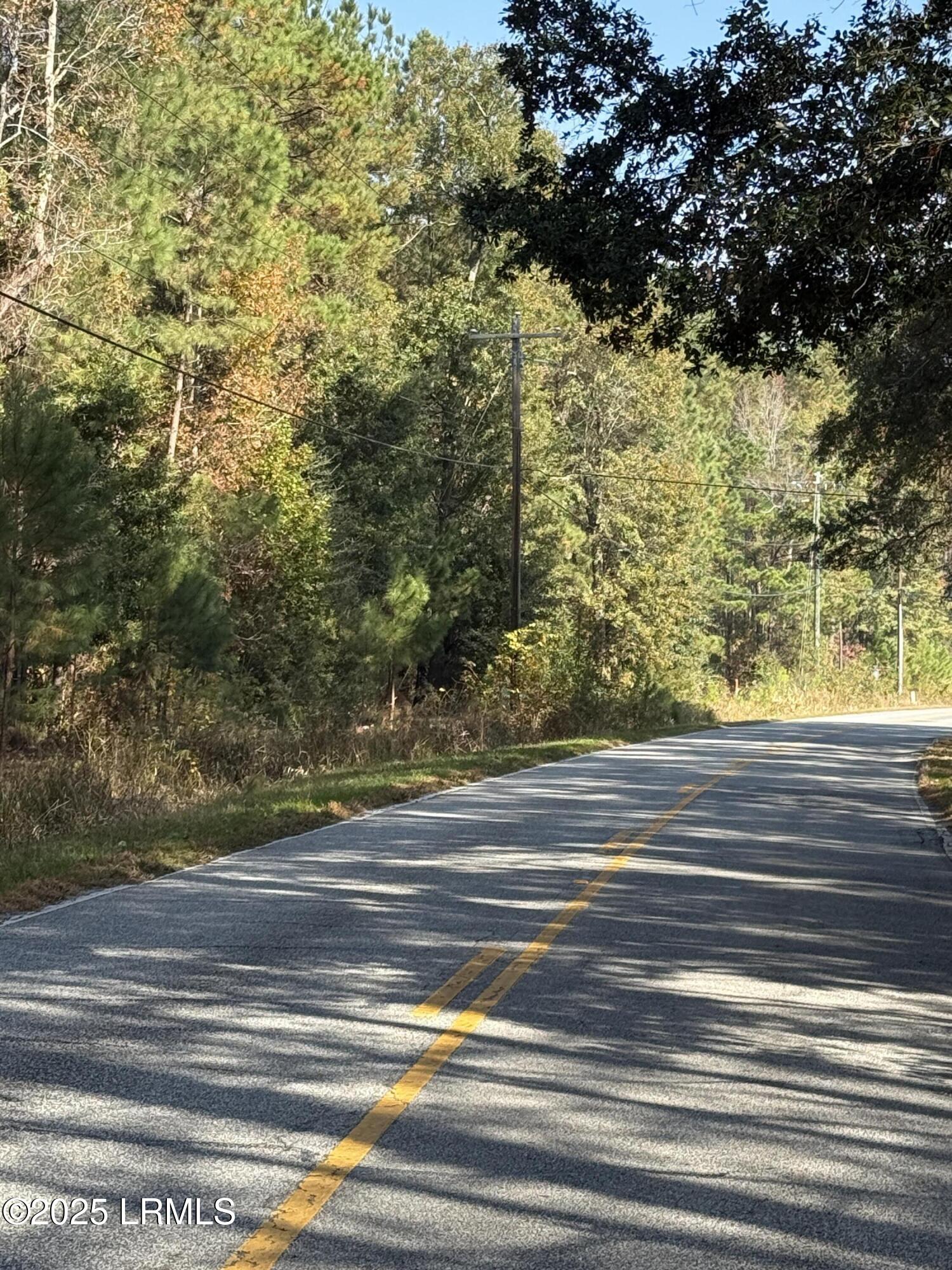 Tbd West Main Street Ridgeland, SC 29936 - Photo 2 of 2 IMG_0501