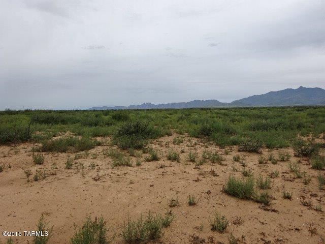 0 East Arzberger Road, Unit 162 Willcox, AZ 85643 - Photo 3 of 9