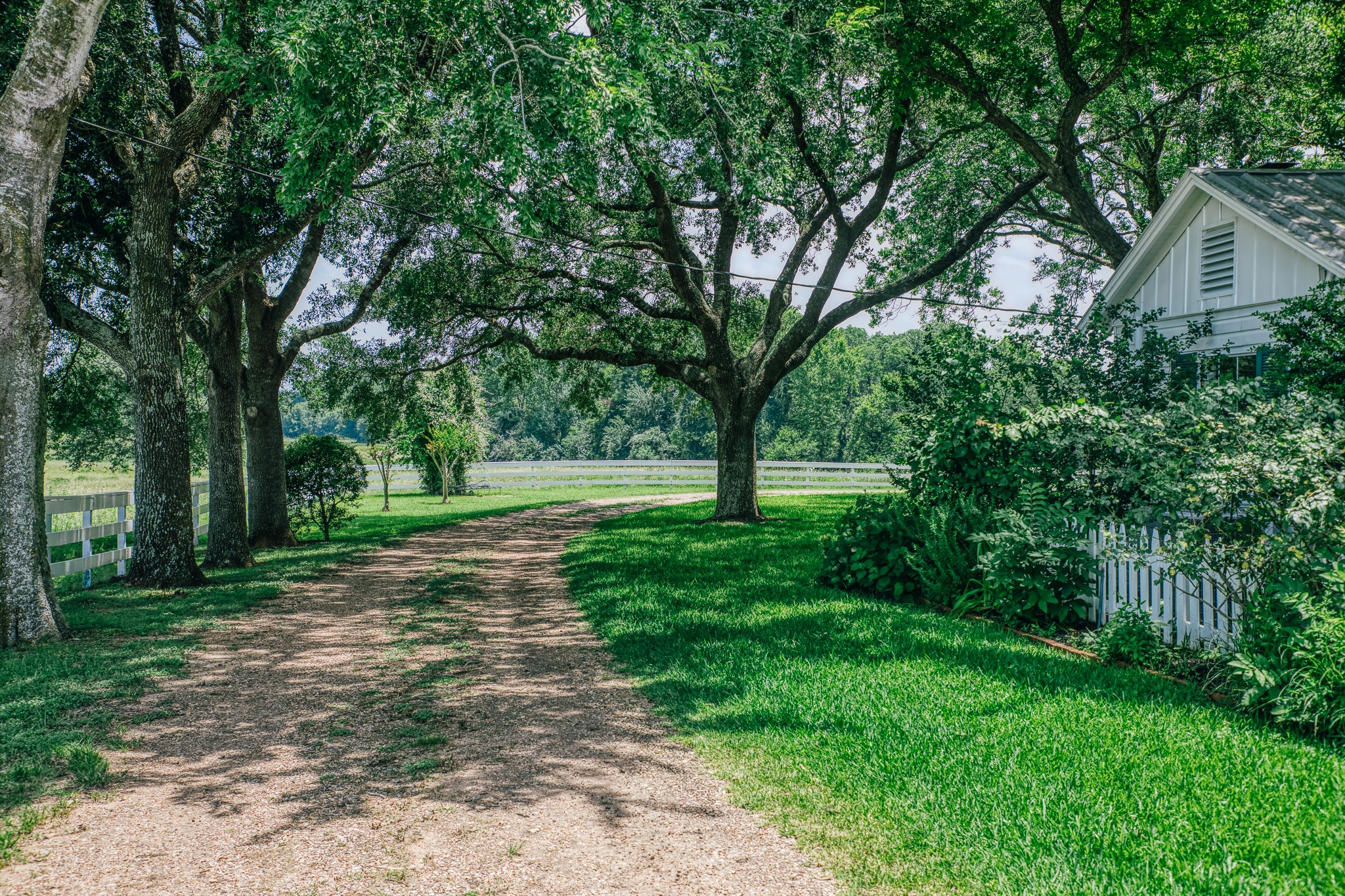 14808 Whitman Road Washington, TX 77880 - Photo 28 of 30
