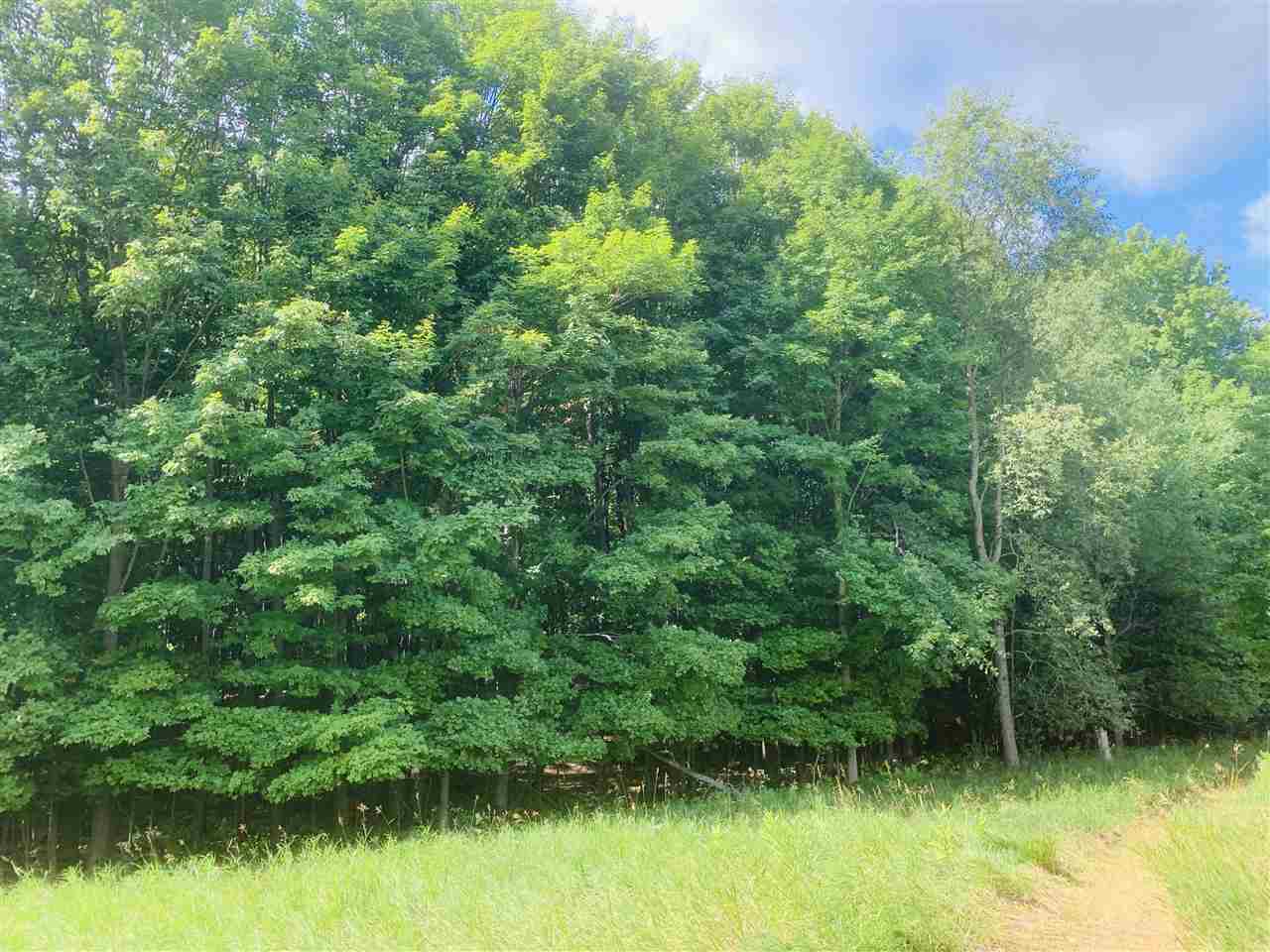 5360 North Brown Road Manton, MI 49663 - Photo 19 of 37 1865772-18.JPG