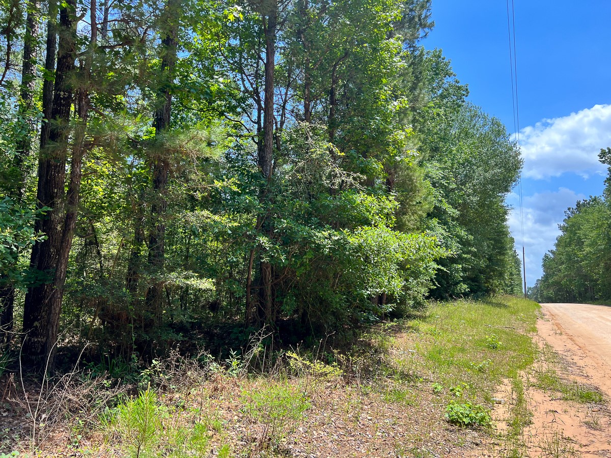 2 U.S. Highway 190 Oakhurst, TX 77359 - Photo 14 of 17