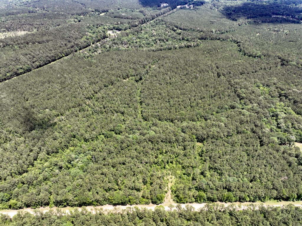 2 U.S. Highway 190 Oakhurst, TX 77359 - Photo 2 of 17
