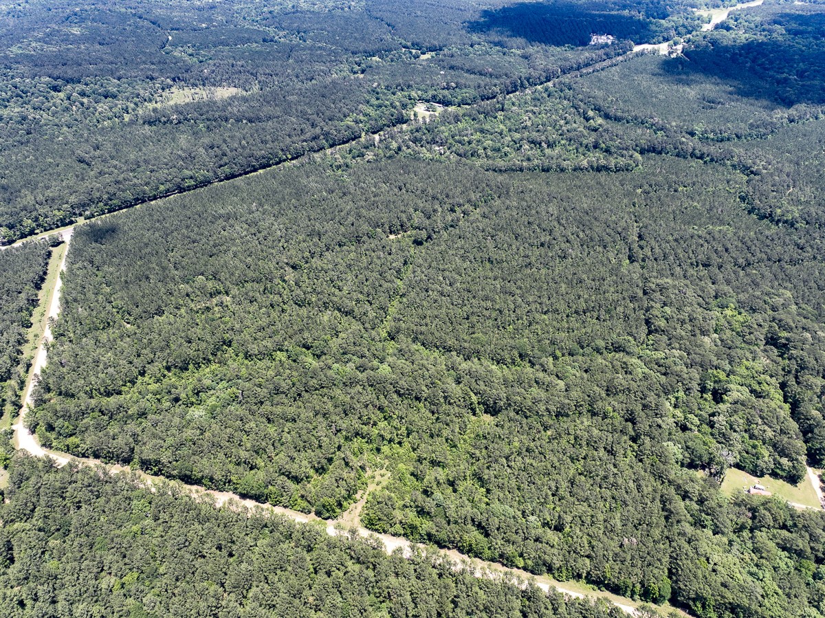 2 U.S. Highway 190 Oakhurst, TX 77359 - Photo 3 of 17