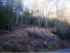 486 Sally Cove Creek Road Hampton, TN 37658 - Photo 1 of 5 Photo 1