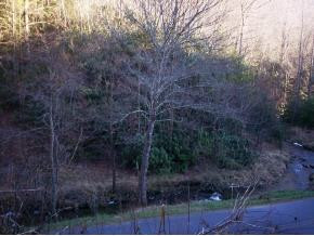486 Sally Cove Creek Road Hampton, TN 37658 - Photo 5 of 5 Photo 5