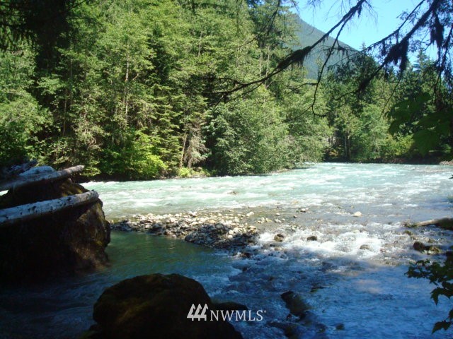 19002 Pinnacle Road Glacier, WA 98244 - Photo 25 of 25 Gallery Image 25