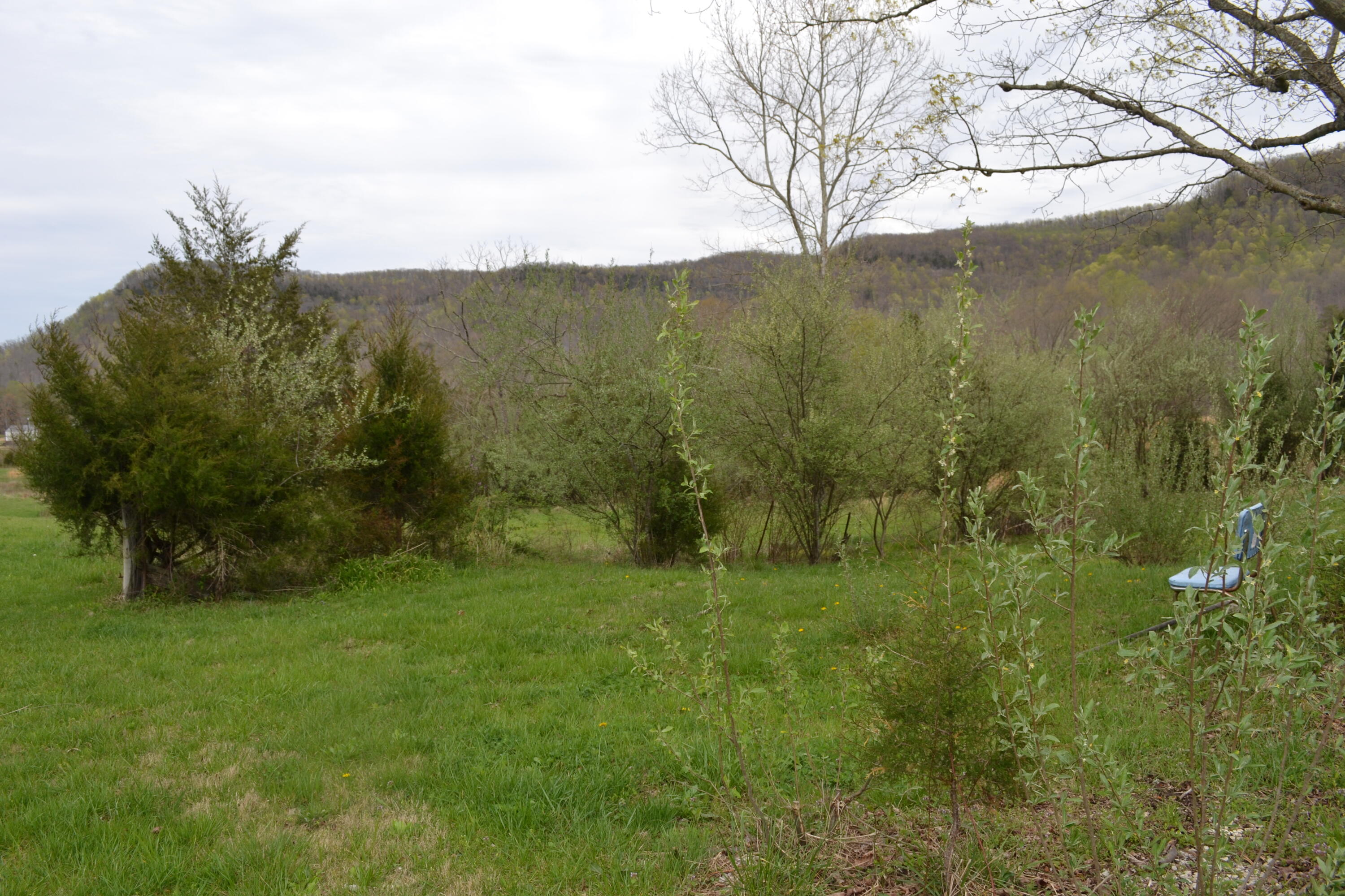 300 Sang Br Road Irvine, KY 40336 - Photo 29 of 62 DSC_5601