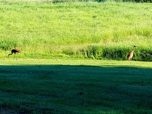 $695,000 | 5364 Everson Road, Argyle, WI 53504