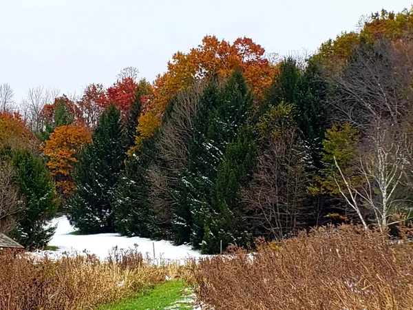 $695,000 | 5364 Everson Road, Argyle, WI 53504