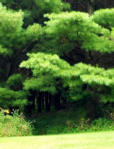 $695,000 | 5364 Everson Road, Argyle, WI 53504