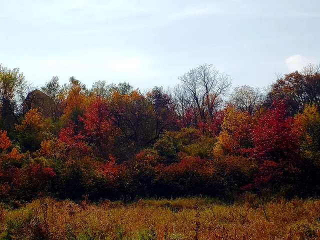 $695,000 | 5364 Everson Road, Argyle, WI 53504