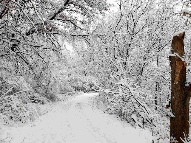 $695,000 | 5364 Everson Road, Argyle, WI 53504