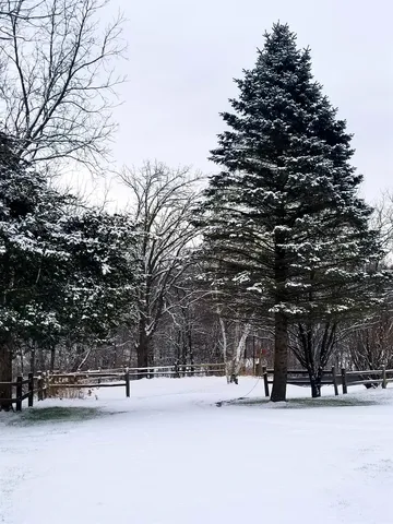 $695,000 | 5364 Everson Road, Argyle, WI 53504