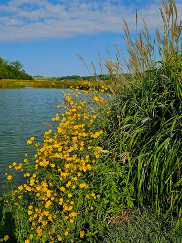 $695,000 | 5364 Everson Road, Argyle, WI 53504