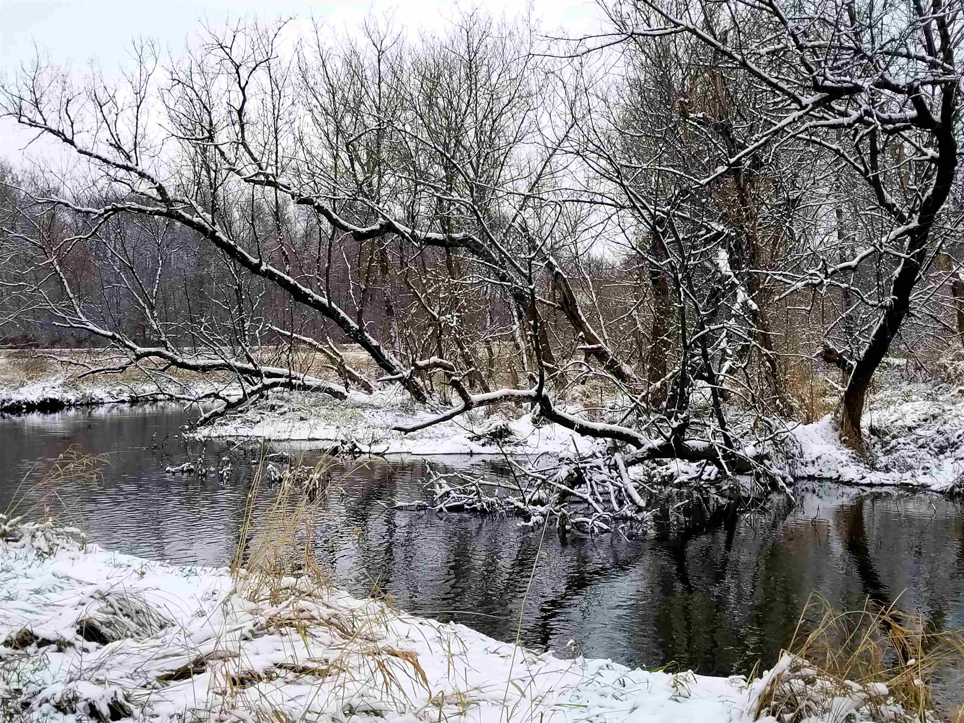 5364 Everson Road Argyle, WI 53504 - Photo 5 of 50