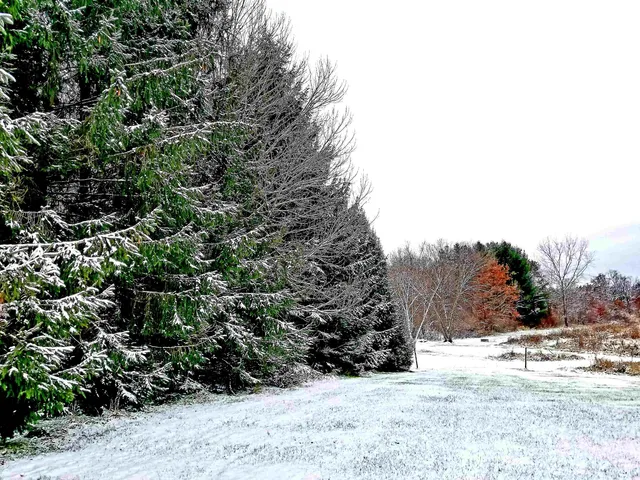 $695,000 | 5364 Everson Road, Argyle, WI 53504