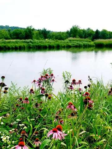 $695,000 | 5364 Everson Road, Argyle, WI 53504