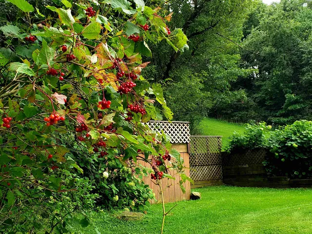 $695,000 | 5364 Everson Road, Argyle, WI 53504