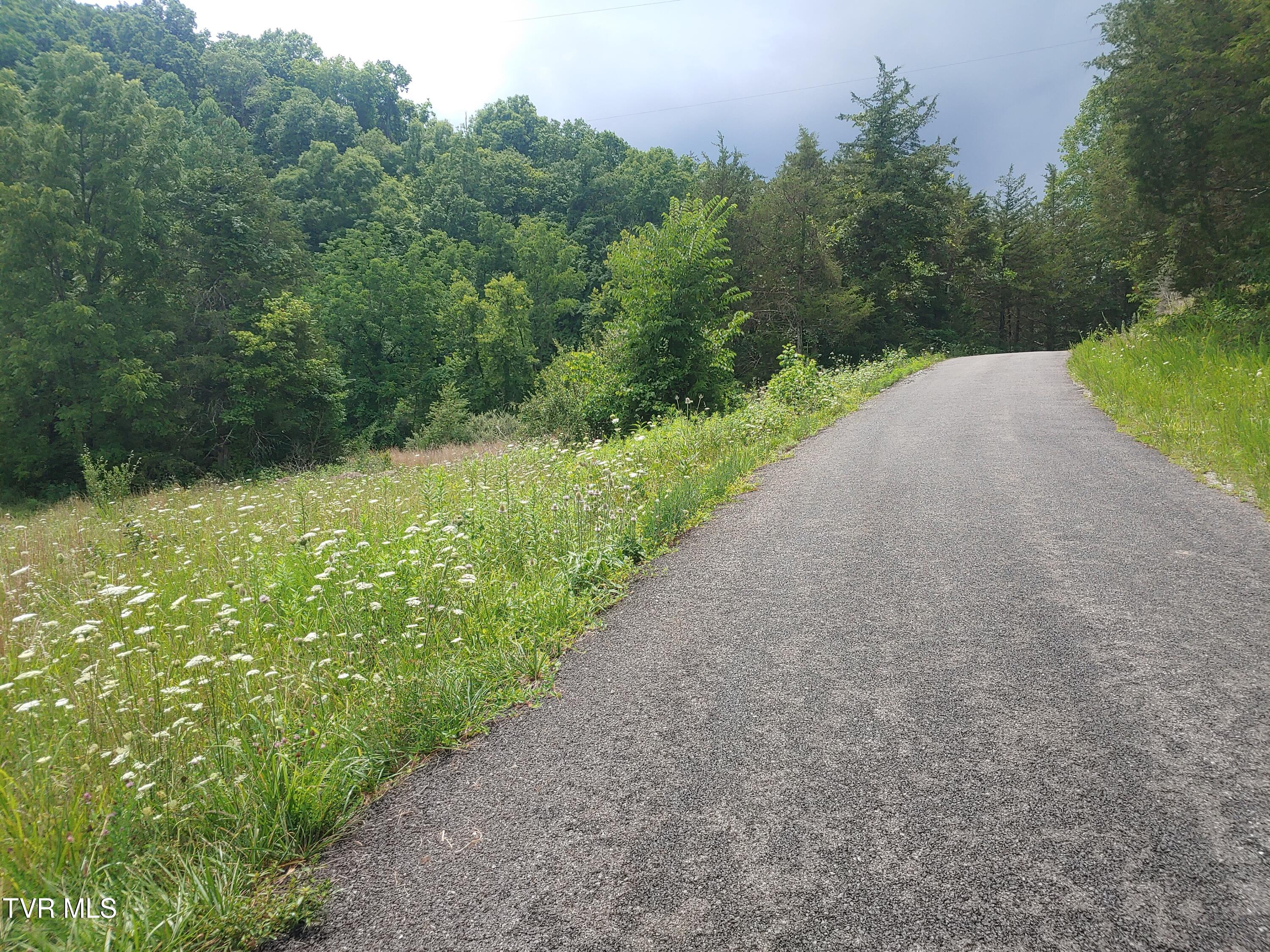 0 War Creek Road Eidson, TN 37731 - Photo 10 of 12 0705261414d