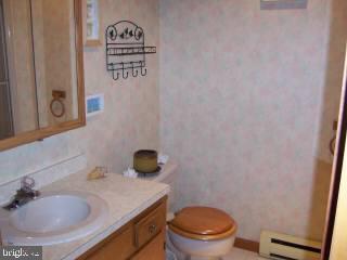 20 Capetown Road Ocean Pines, MD 21811 - Photo 10 of 11 a bathroom with a sink a toilet and a mirror