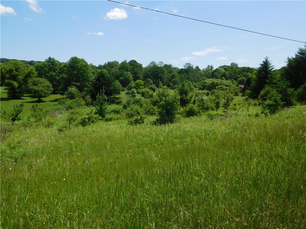 0 Locke Road Groton, NY 13073 - Photo 1 of 1