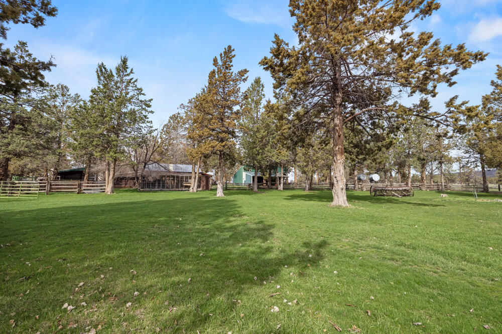 47477 Gerber Road Bonanza, OR 97623 - Photo 18 of 63 a huge green field with lots of trees